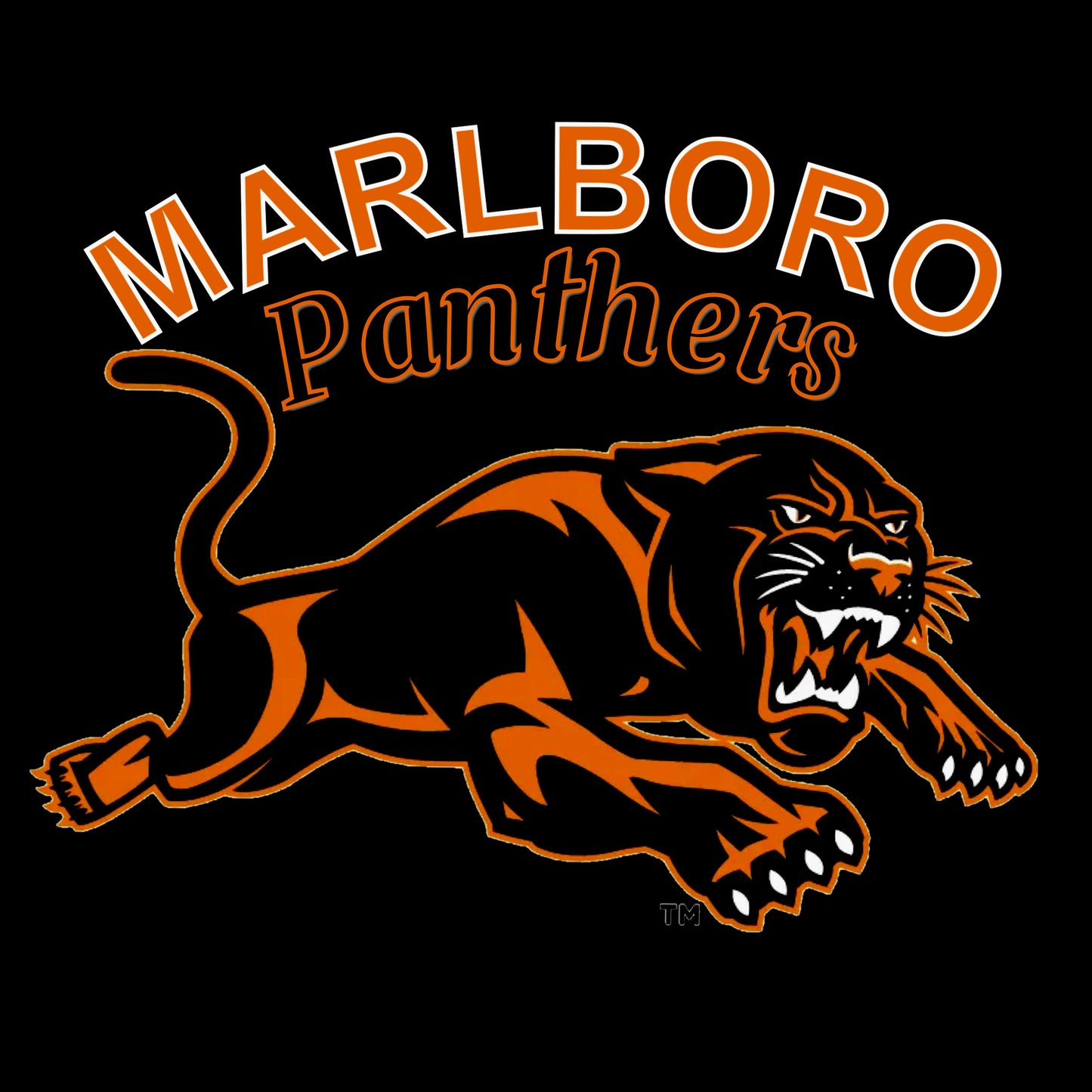 Marlboro High School (MA.) Panthers Vintage Baseball Jersey