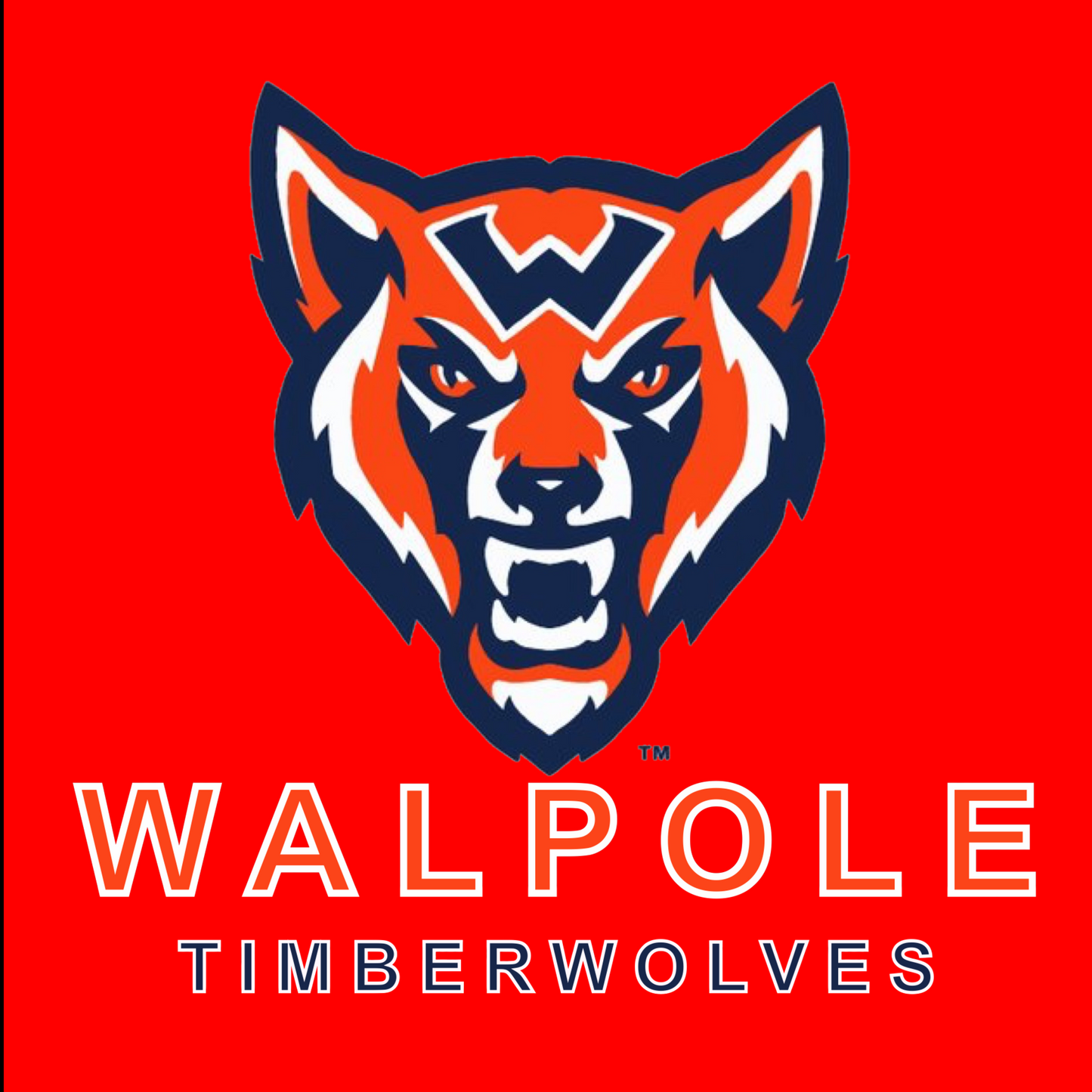 Walpole (MA.) Timberwolves Babe Ruth Baseball Jersey