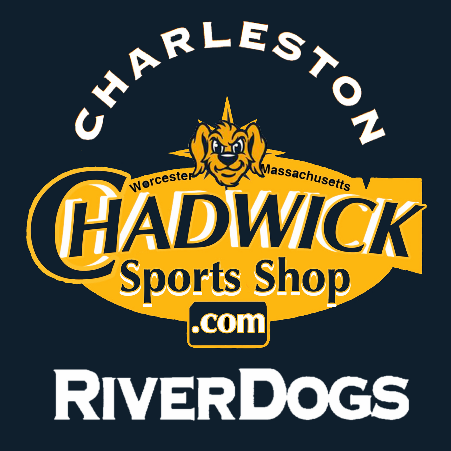 Charleston RiverDogs (Single-A Affiliate- TB) Authentic New Era™️ 59Fifty MiLB Road Fitted Hat