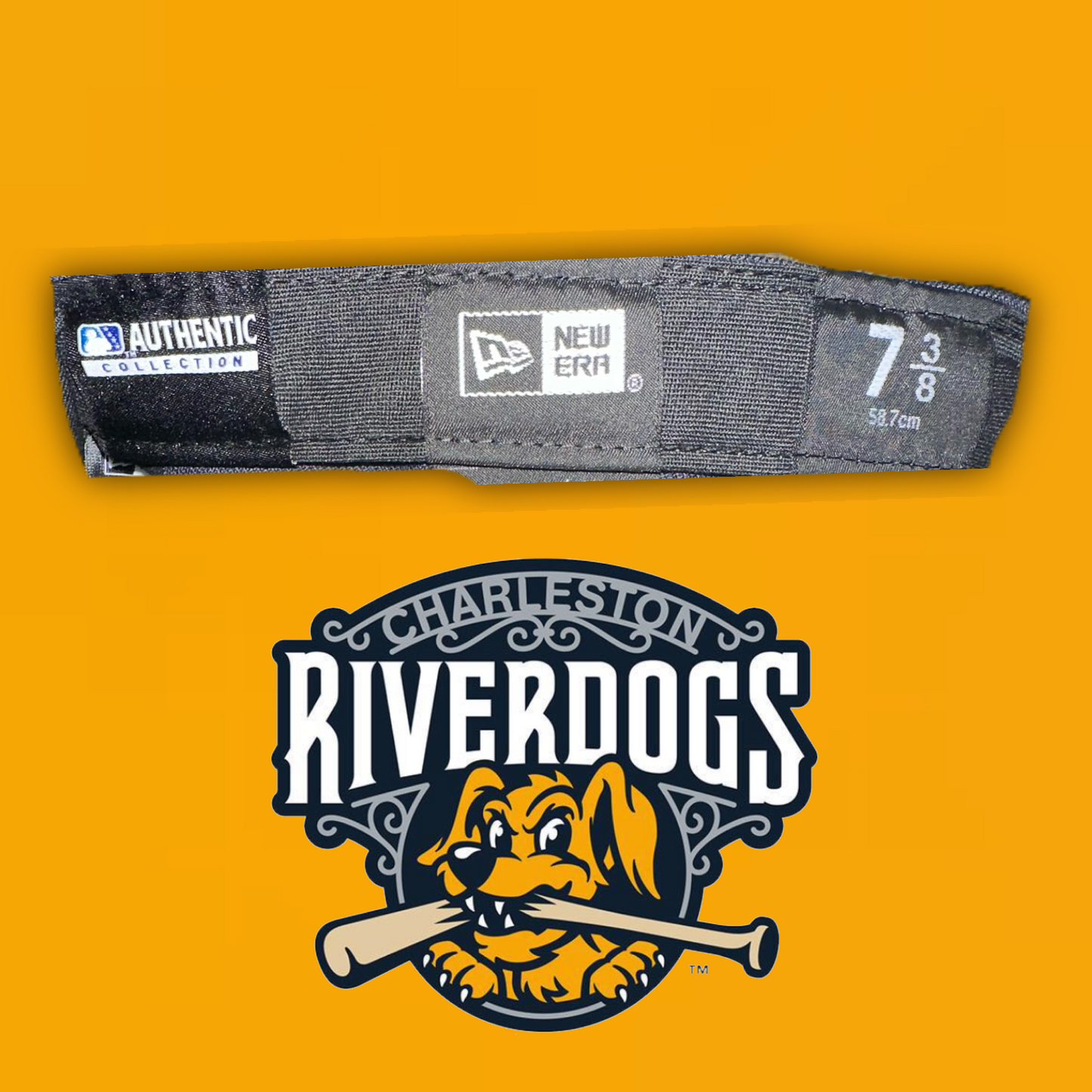 Charleston RiverDogs (Single-A Affiliate- TB) Authentic New Era™️ 59Fifty MiLB Road Fitted Hat