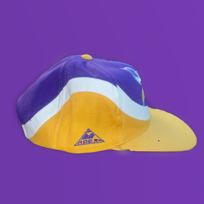 Minnesota Vikings APEX One NFL Snapback