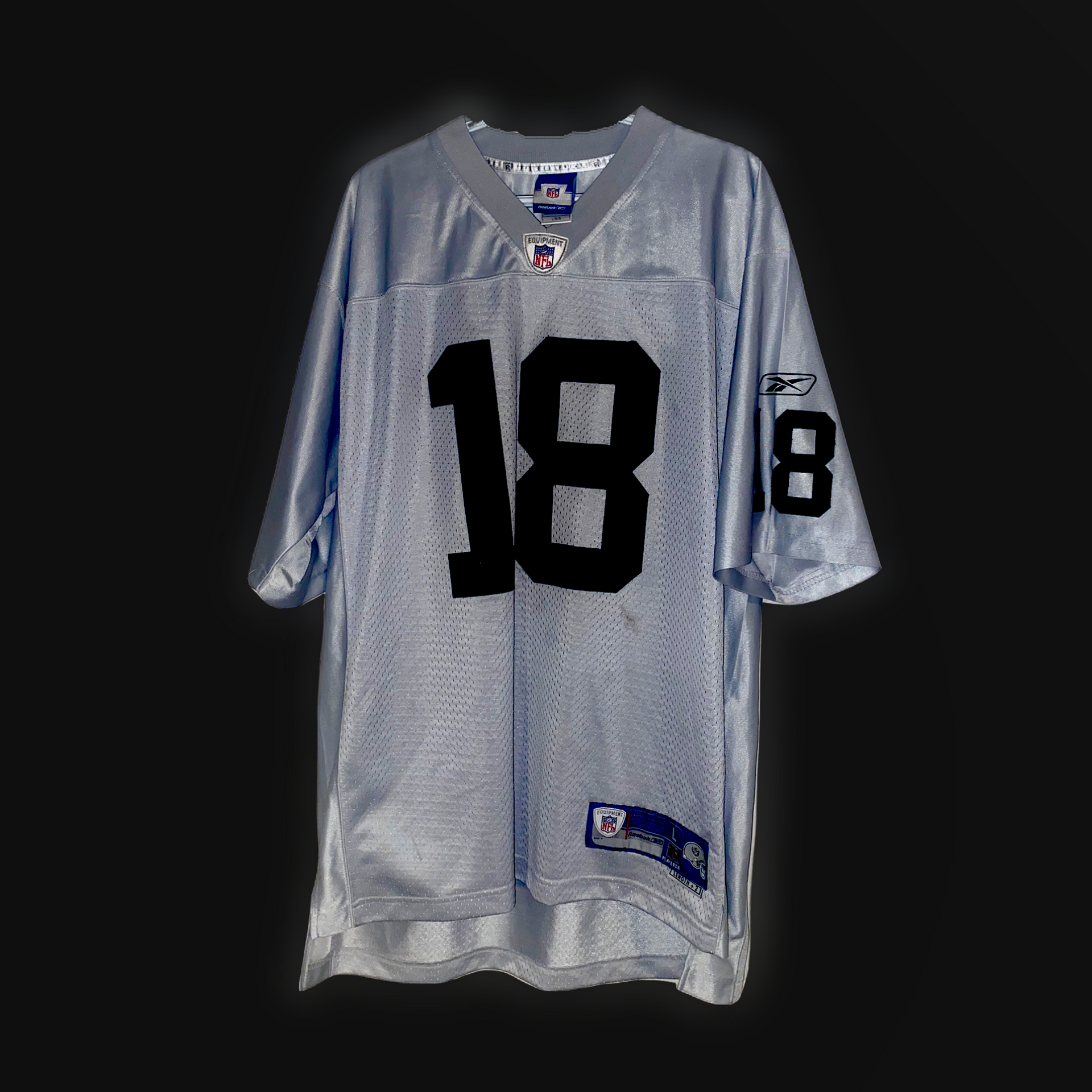 Oakland raiders shop silver jersey